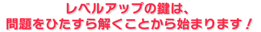 レベルアップの鍵は、問題をひたすら解くことから始まります！