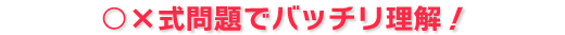 ○×式問題でバッチリ理解!